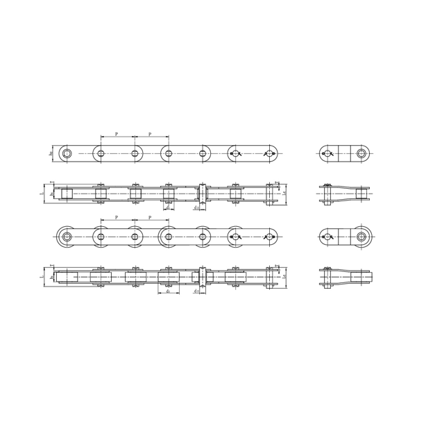 Förderketten aus Edelstahl mit doppelter Teilung