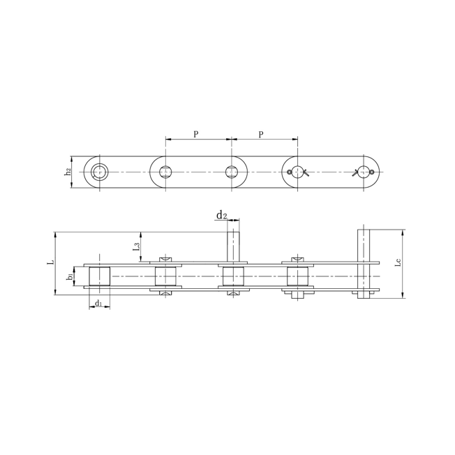 Doppelte Förderketten aus Edelstahl mit verlängerten Bolzen